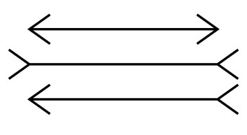 1200px-Müller-Lyer_illusion